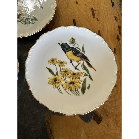 Schuman Arzberg Germany Porcelain Bird Plates Set of 3 Bavaria E & R - Picture 5 of 8
